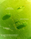 Yepoda.co.uk
